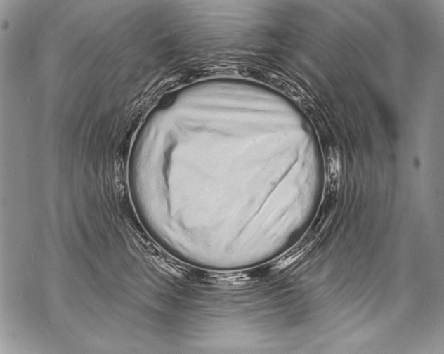 X0000070880663200607150147