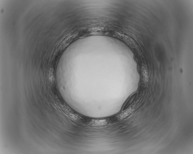 X0000070880665200607150147