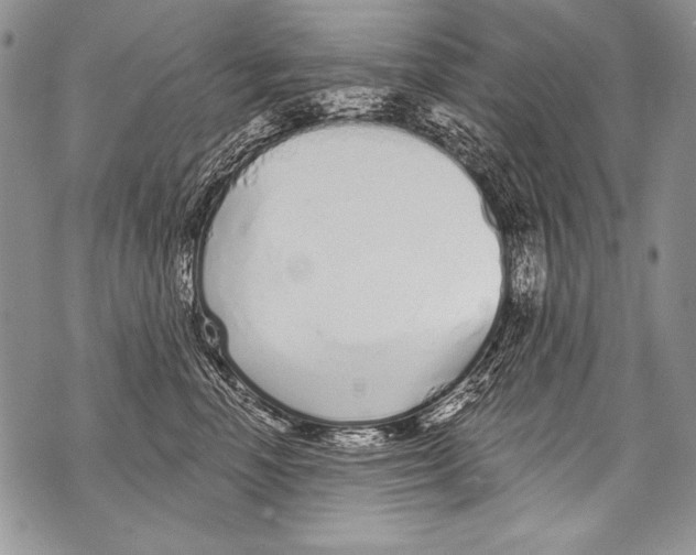 X0000070880666200607150147