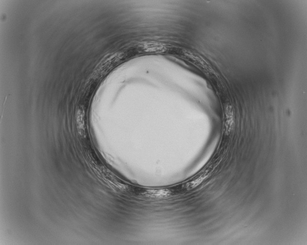 X0000070880667200607150147