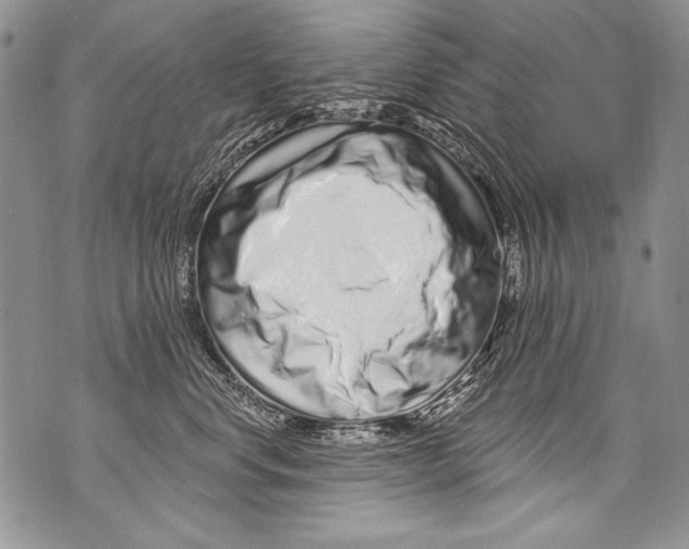 X0000070880668200607150148