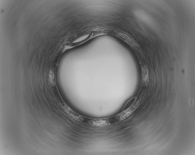 X0000070880669200607150148