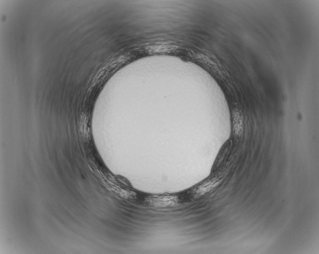 X0000070880670200607150148