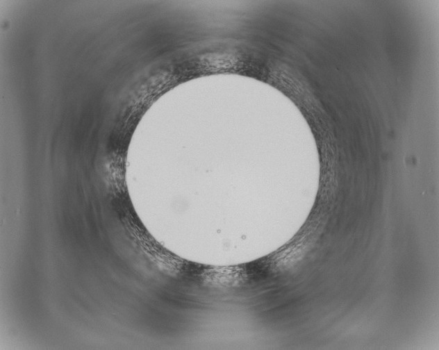 X0000070880672200607150148