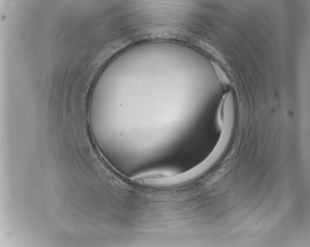 X0000070880673200607150147