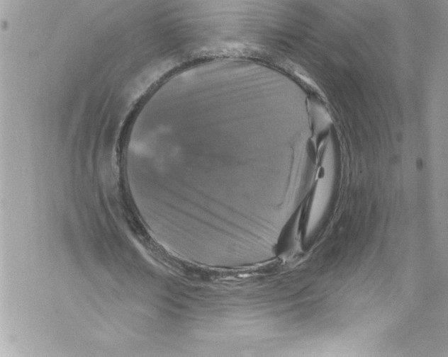 X0000070880674200607150147