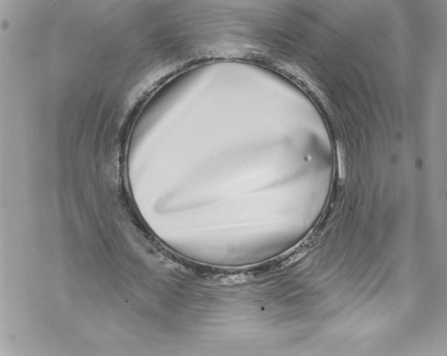 X0000070880675200607150147