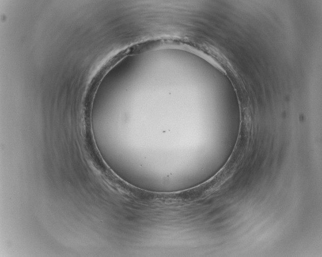 X0000070880676200607150147