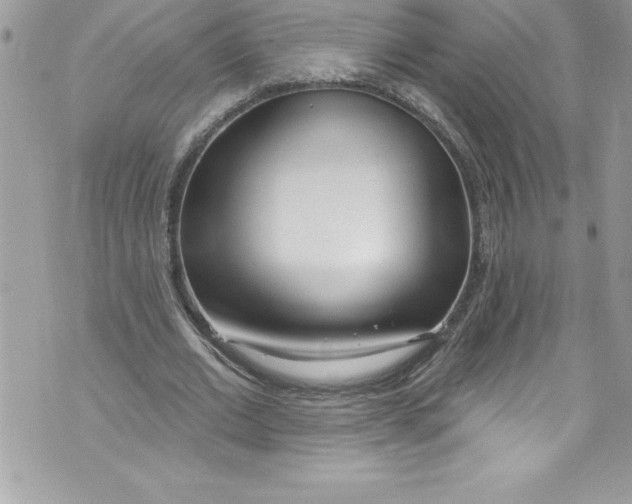 X0000070880677200607150147