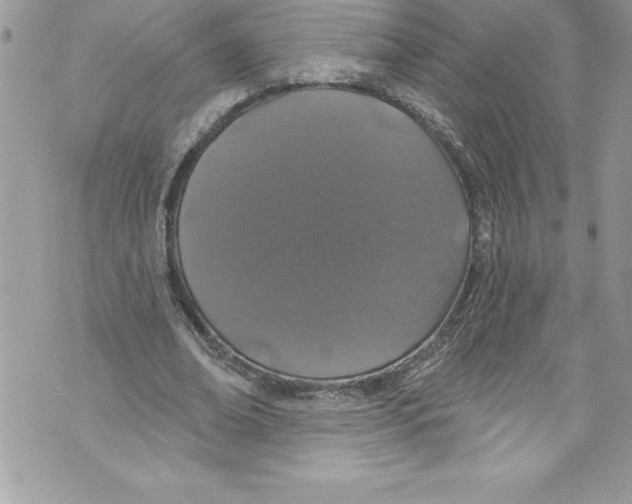 X0000070880678200607150147