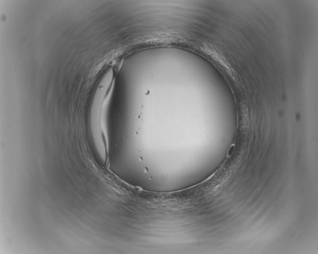 X0000070880681200607150147