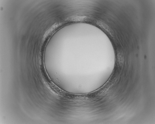 X0000070880682200607150147