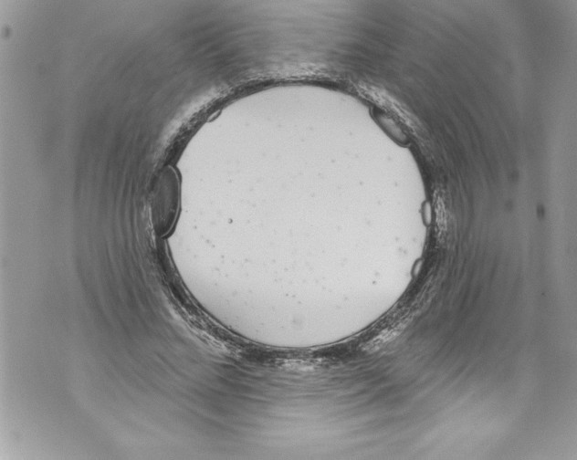 X0000070880684200607150147