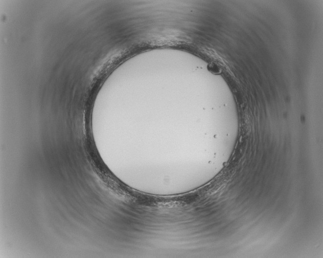 X0000070880686200607150147