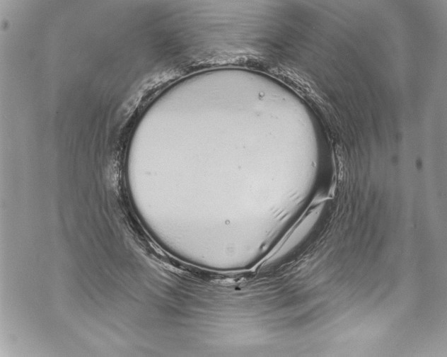 X0000070880687200607150147