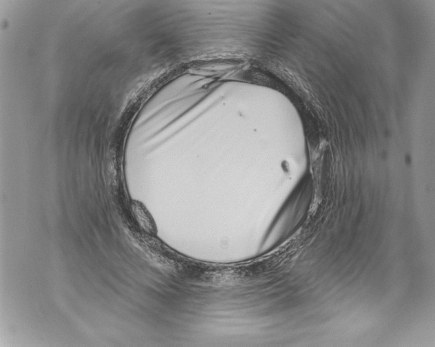 X0000070880688200607150147