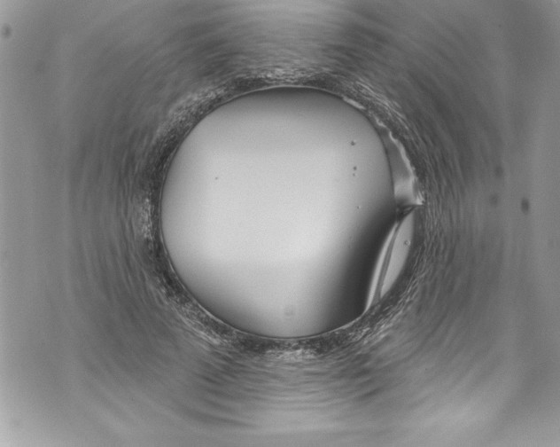 X0000070880689200607150147