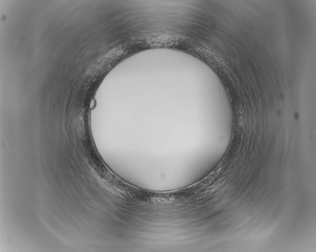 X0000070880690200607150147