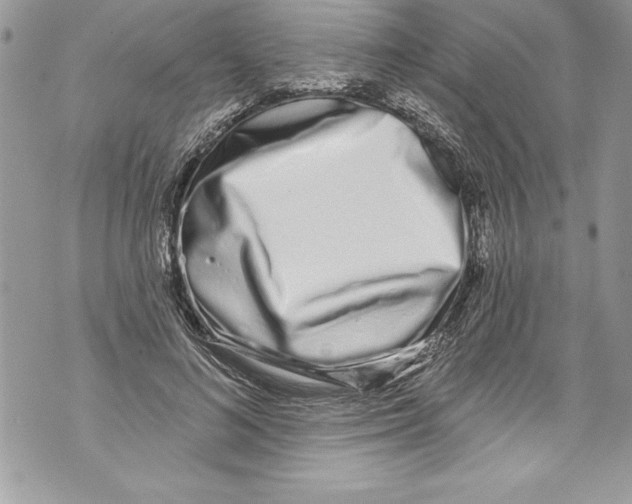 X0000070880692200607150146