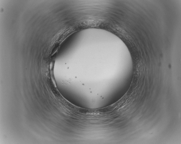 X0000070880693200607150146