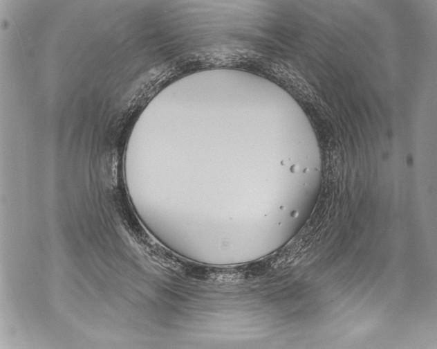 X0000070880694200607150146