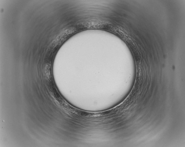 X0000070880695200607150146