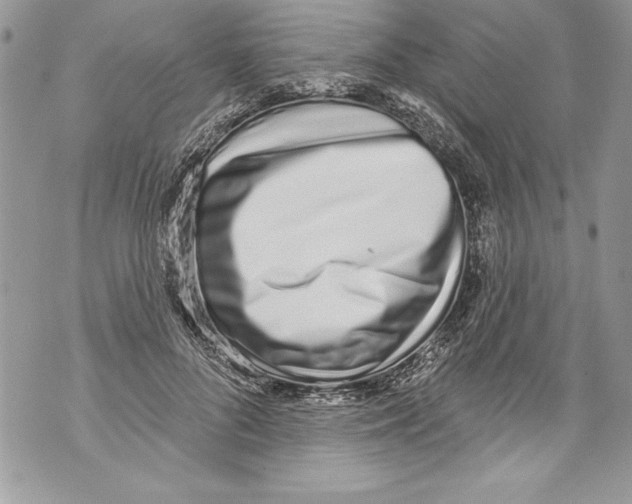 X0000070880696200607150146