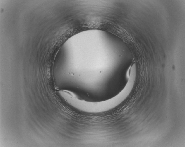 X0000070880697200607150146