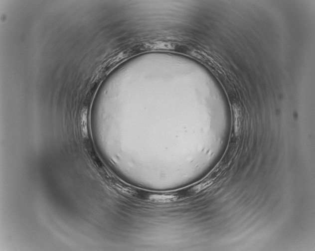 X0000070880699200607150146