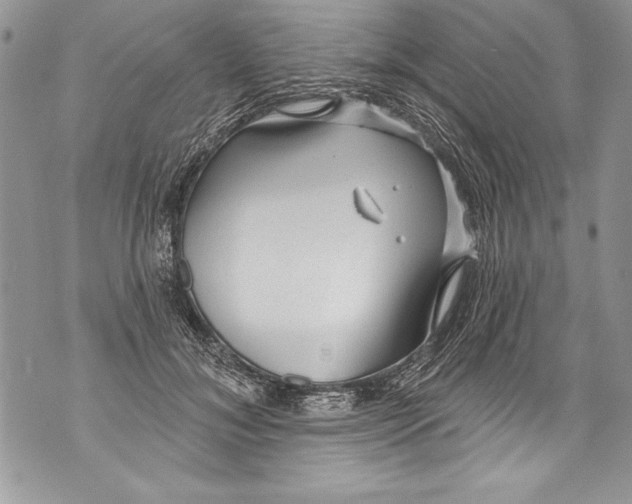 X0000070880700200607150146