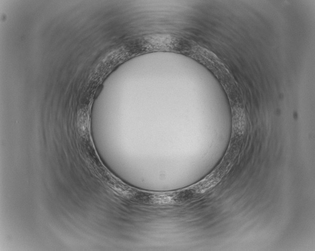 X0000070880701200607150146