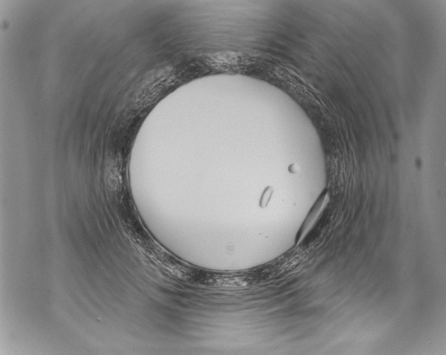 X0000070880702200607150146