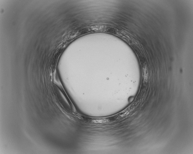 X0000070880703200607150146