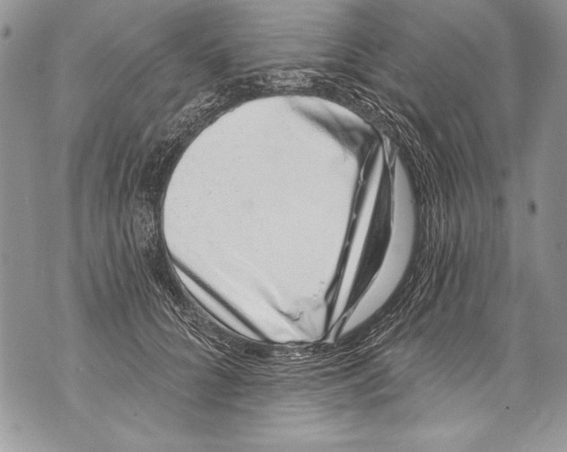 X0000070880704200607150146