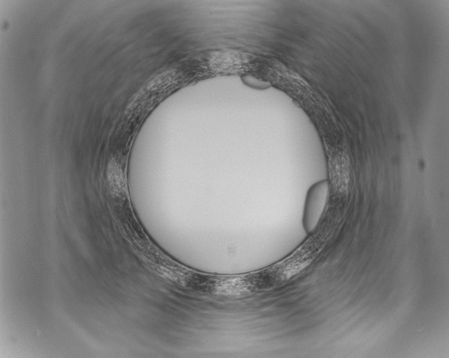 X0000070880705200607150146