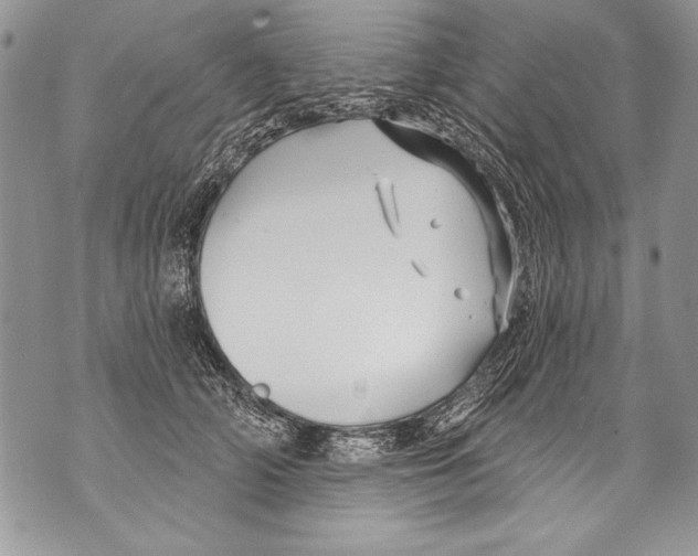 X0000070880706200607150146