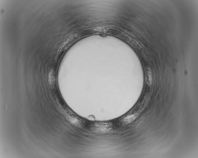 X0000070880707200607150146