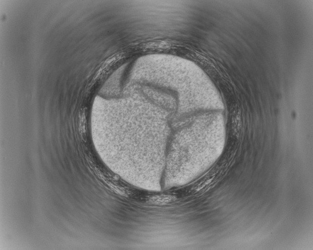 X0000070880708200607150146