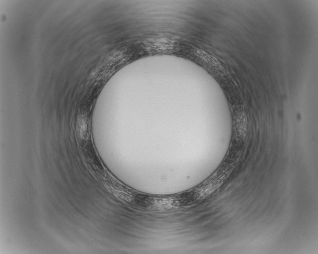 X0000070880709200607150146