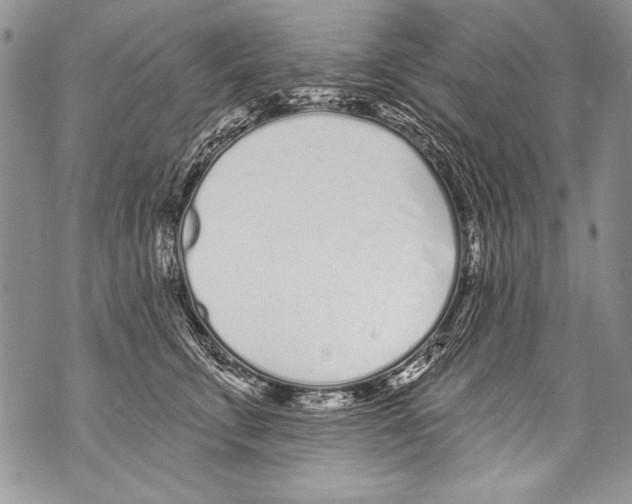 X0000070880711200607150146