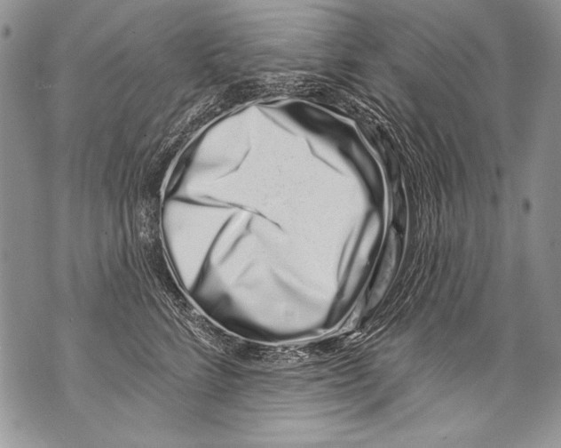 X0000070880712200607150146