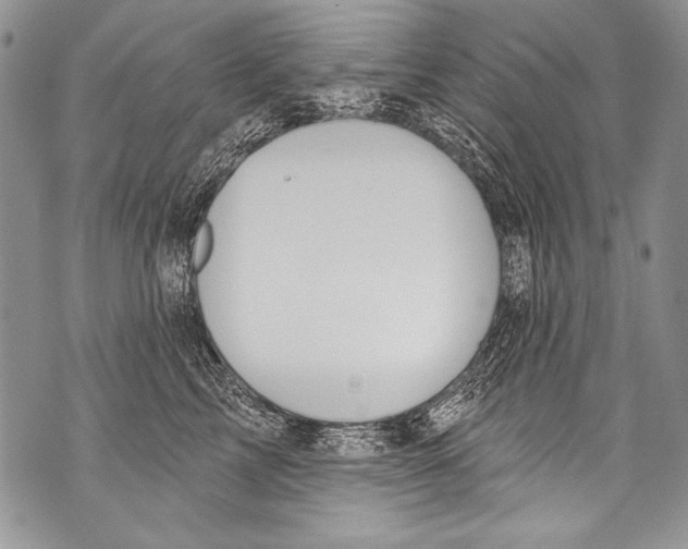 X0000070880713200607150146