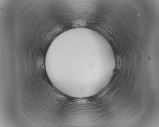 X0000070880714200607150146