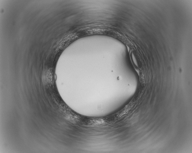 X0000070880715200607150146