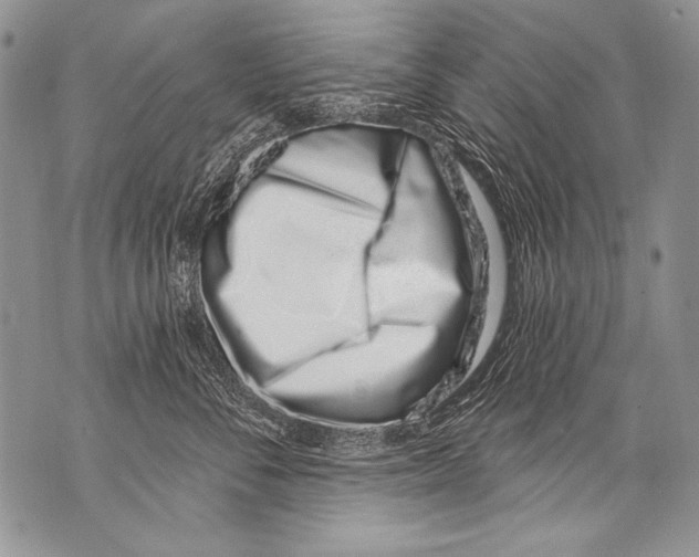 X0000070880716200607150146