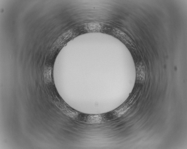 X0000070880717200607150146