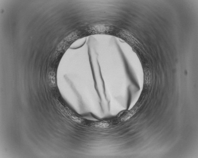 X0000070880718200607150146