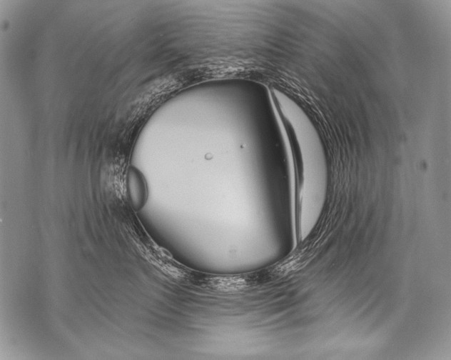 X0000070880719200607150146