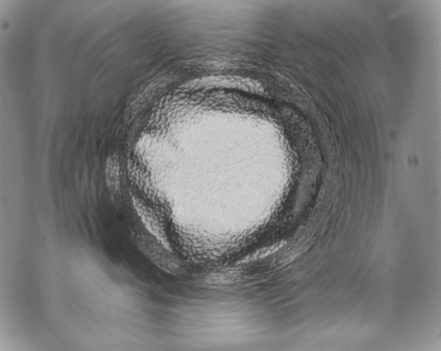 X0000070880720200607150146