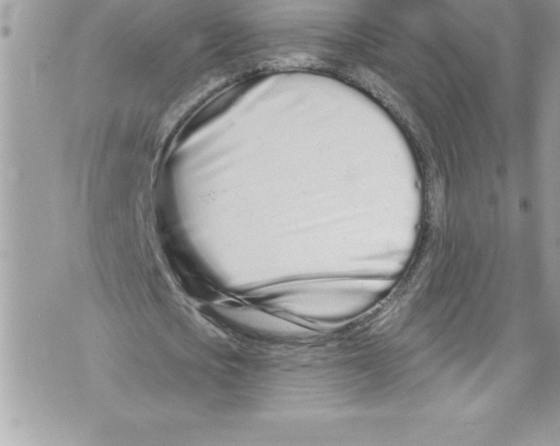 X0000070880721200607150145